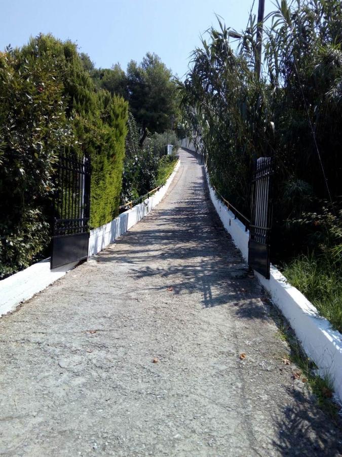 Villa Xanthippi Agia Paraskevi  Exterior photo