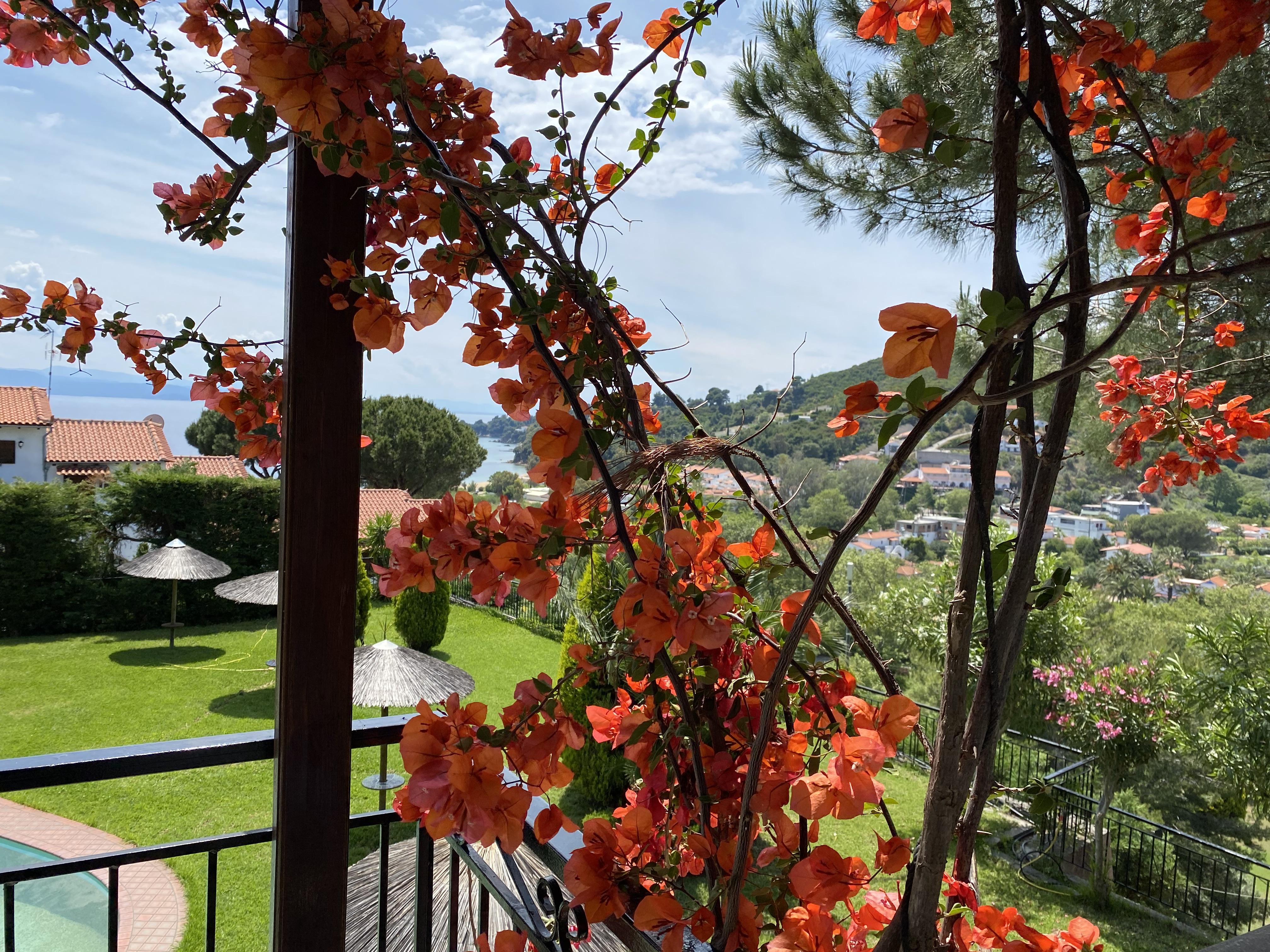 Villa Xanthippi Agia Paraskevi  Exterior photo