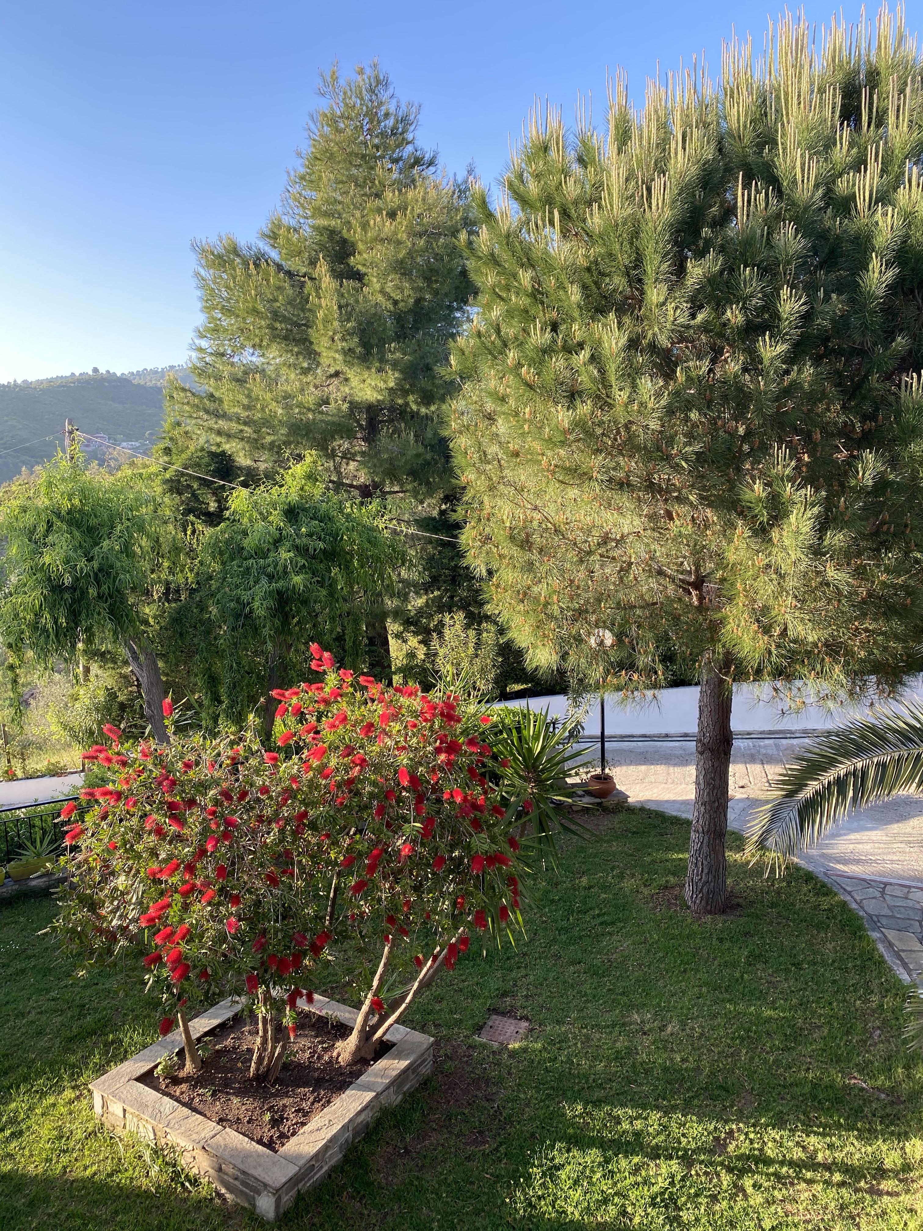 Villa Xanthippi Agia Paraskevi  Exterior photo